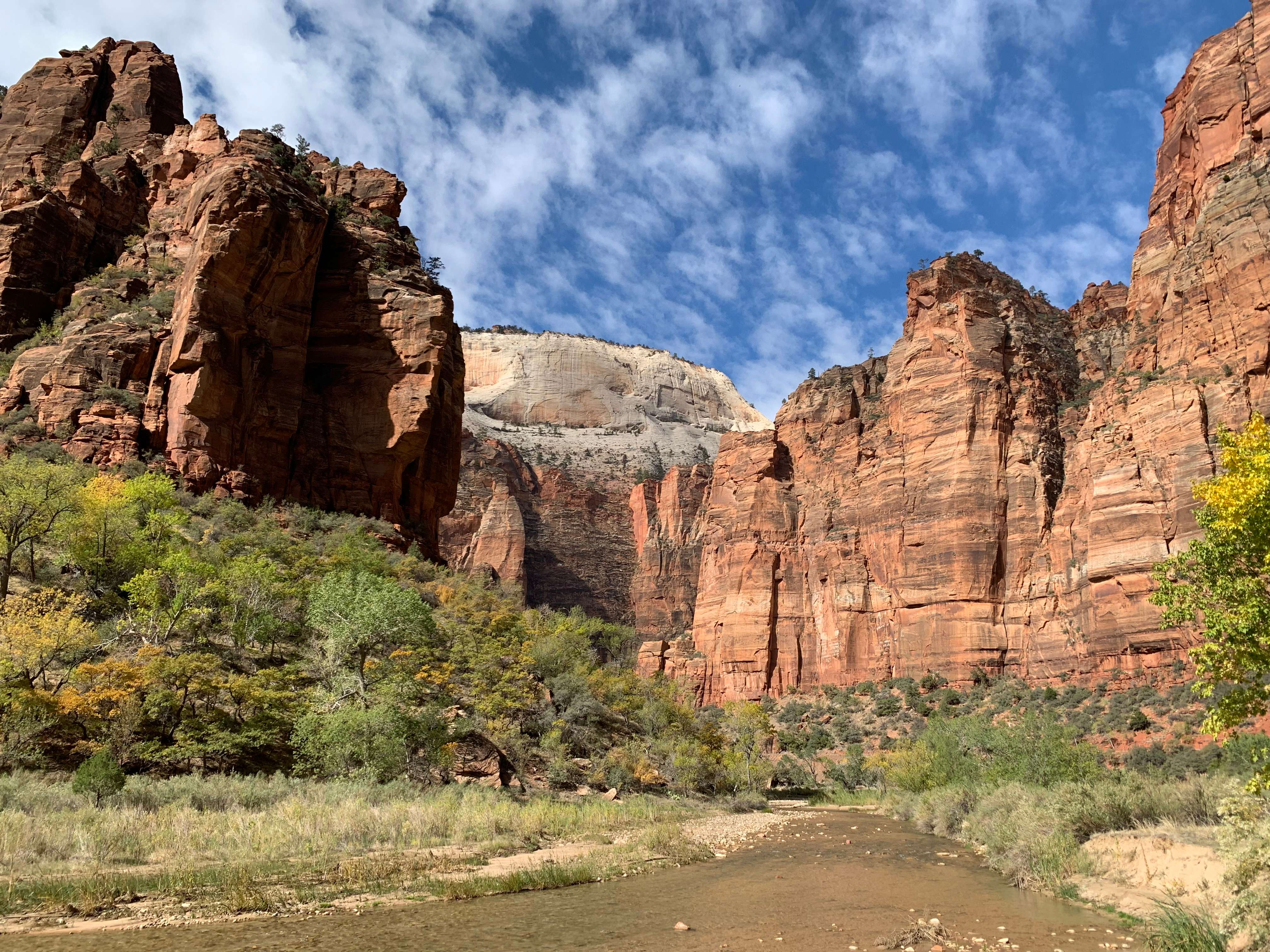 Zion NP